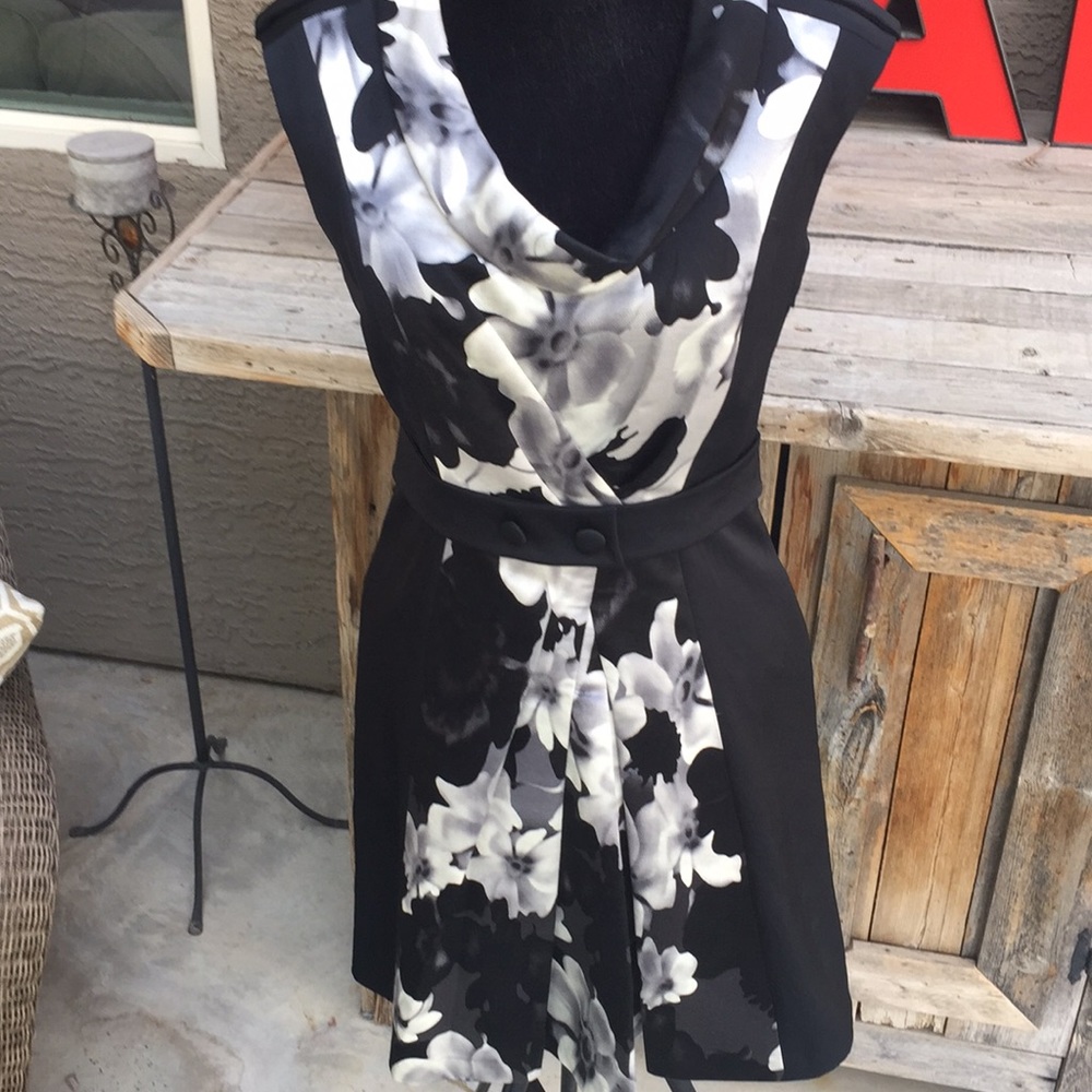 Cynthia Steffe Dress